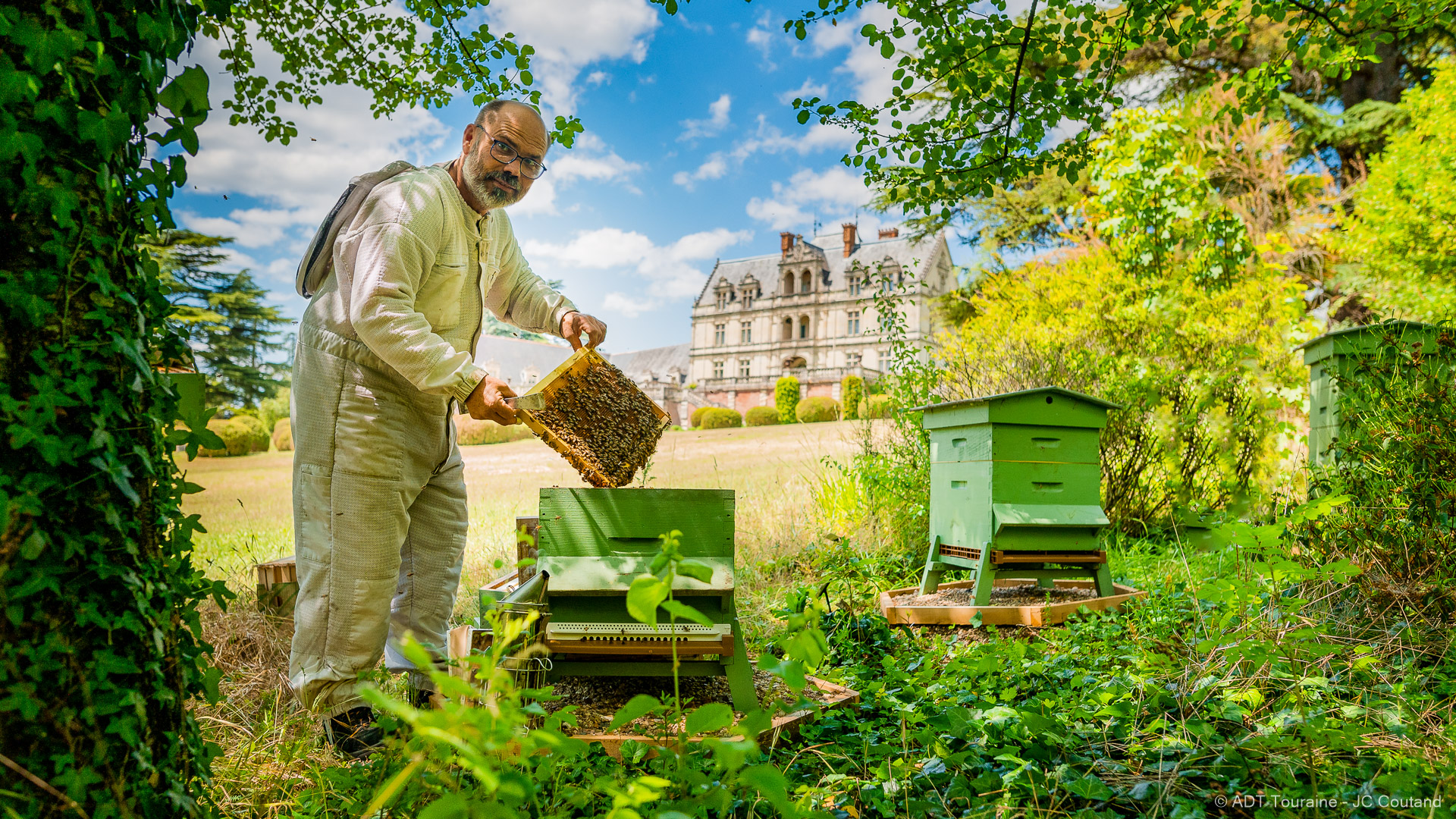 Miel en rayon, Le Château Blanc, Apiculture Inc.