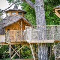 Cabane dans les arbres : vivez une nuit insolite !