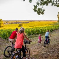 Diagonale des vins et art de vivre