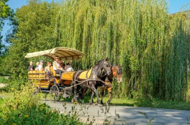 2_caleche-loches_marine-desfontaine_2030-12-31_medium