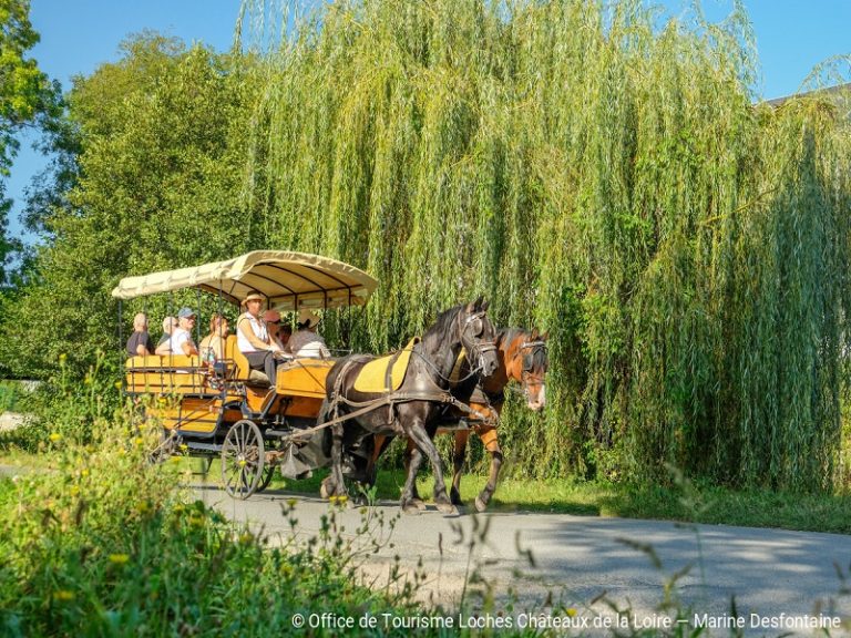 Promenade en calèche – Loches et Beaulieu-Les-Loches-1