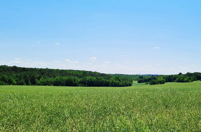 Le circuit panoramique-1