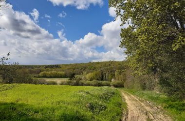 Entre osier et troglos : randonnée de Villaines-les-Rochers.