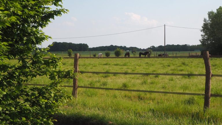 Se ressourcer aux pays des châteaux-24