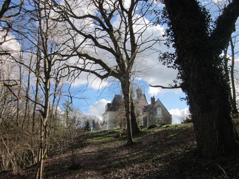 Château du Breuil Chédigny-3