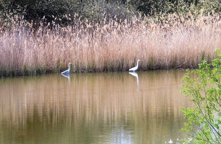 La Tour du Château des Etangs-22