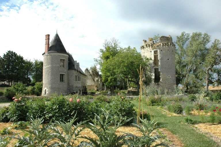 Château de Fontenay-7