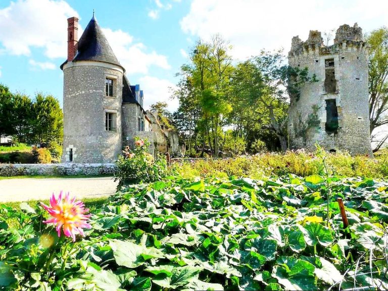 Château de Fontenay-27