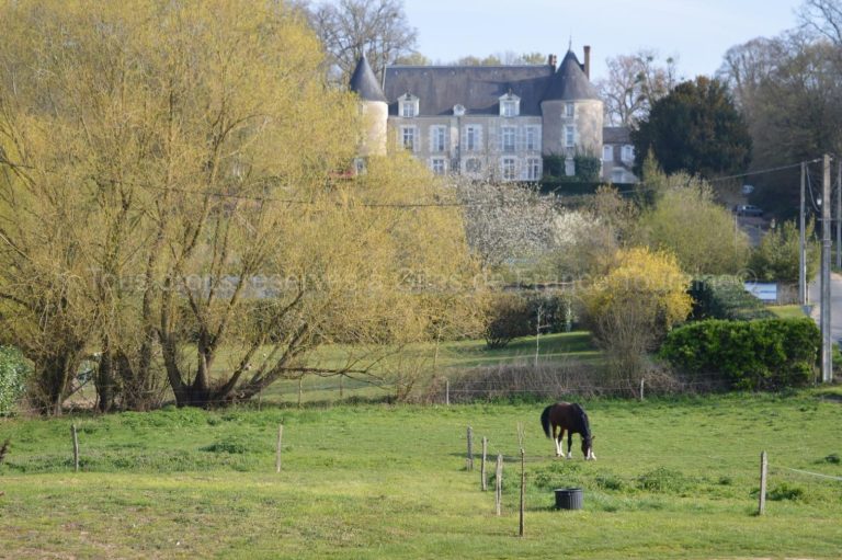 Les Basses Tuileries-19