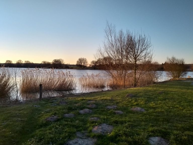 L’Etang des Roseaux-42