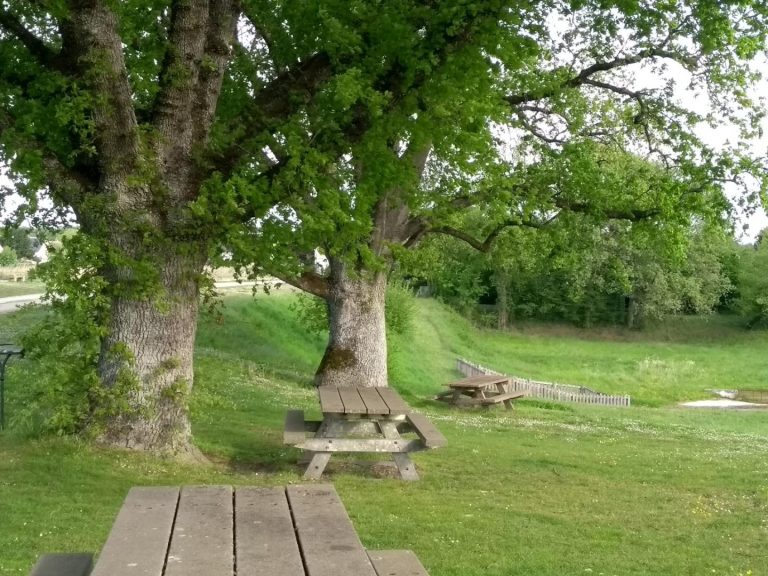 L’Etang des Roseaux-46