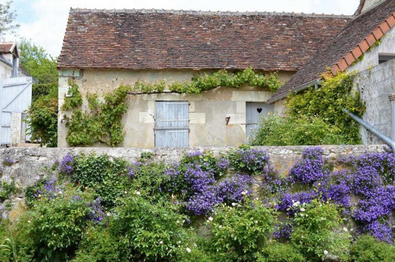 La Maison des Hortensias II-32