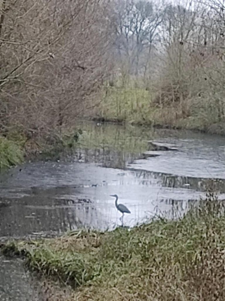 Le Moulin de Mondoux-38