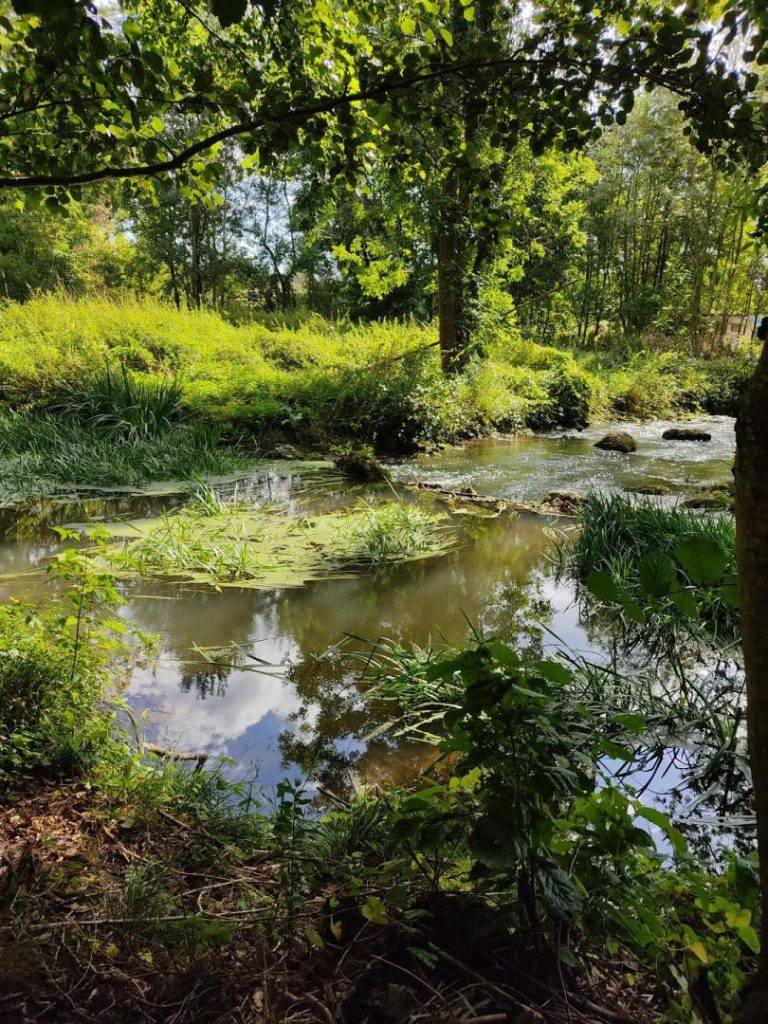 Le Moulin de Mondoux-41