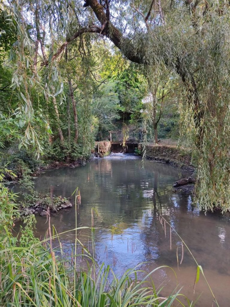 Le Moulin de Mondoux-31