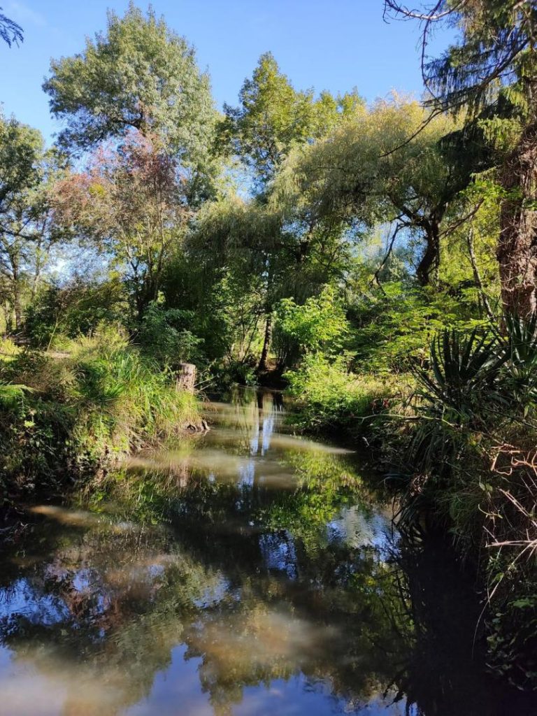 Le Moulin de Mondoux-29