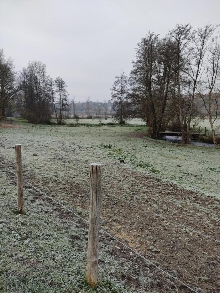 Le Moulin de Mondoux-39