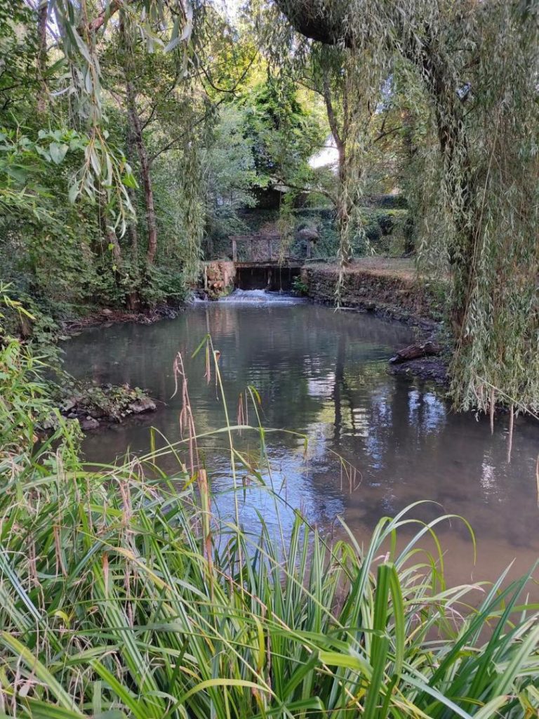 Le Moulin de la Choisille-31