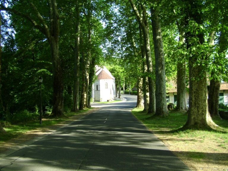 Gîte de Chanceaux près Loches-21