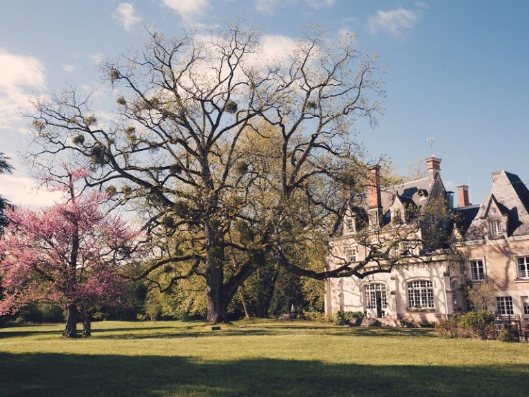 Château de Razay-1