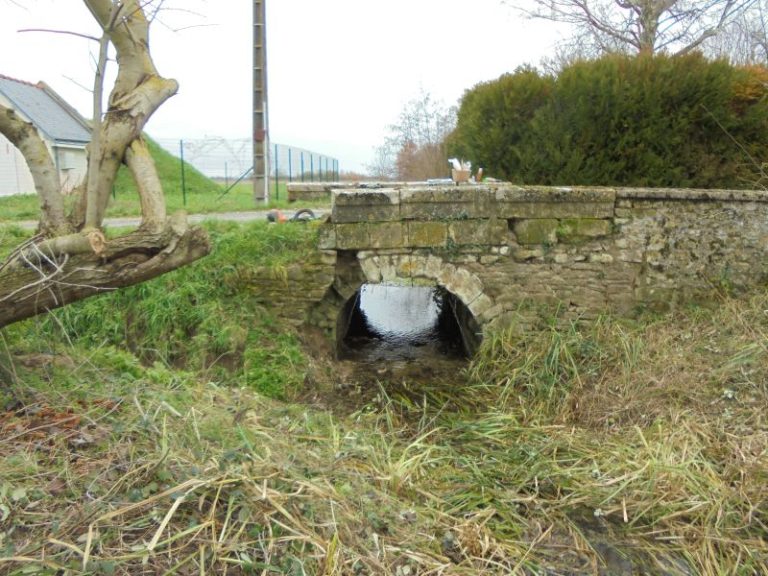 Entretien du ruisseau de la Fontaine d’Auzon-1