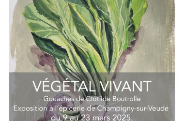 Exposition Végétal Vivant Clotilde Boutrolle Epicerie Champigny-sur-Veude 9 au 23 mars 2025