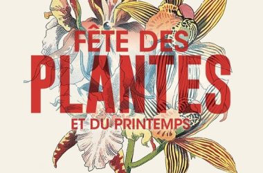 Fête des plantes 2025