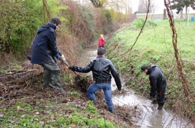 Chantier participatif lavoir