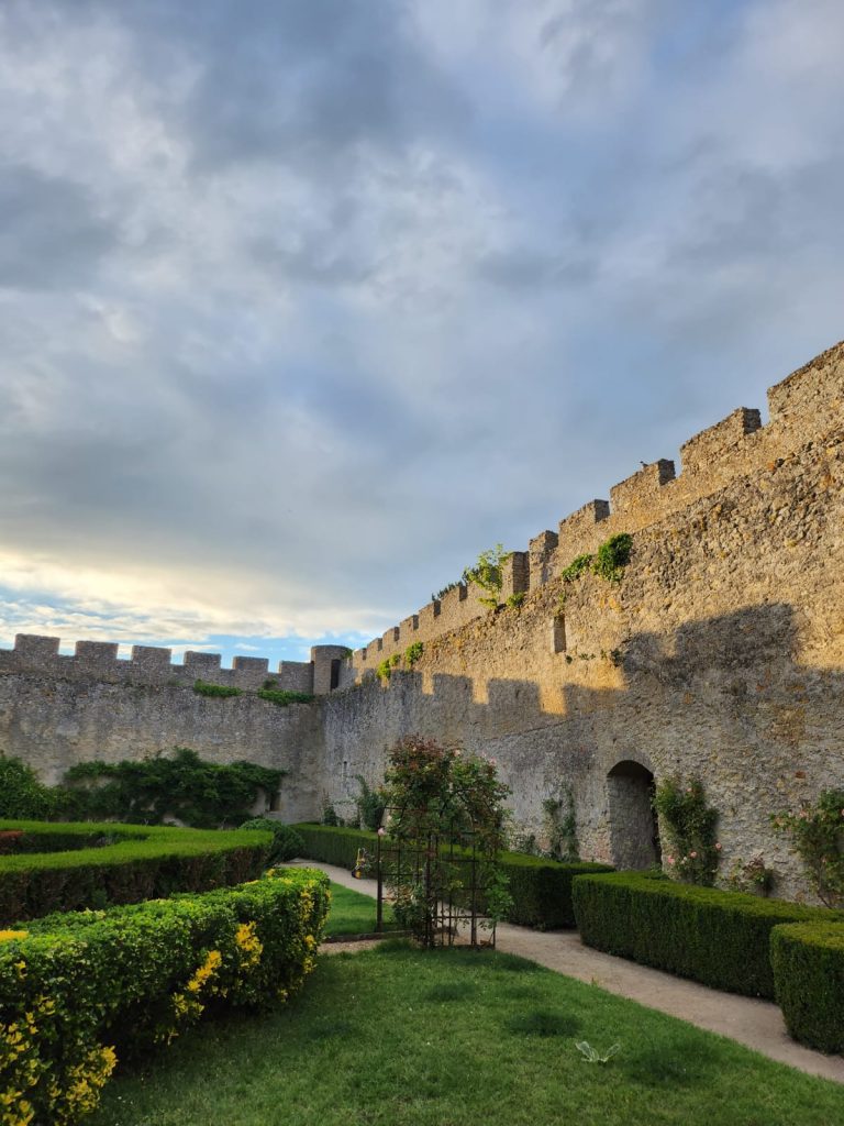 Château de Fontenay-6