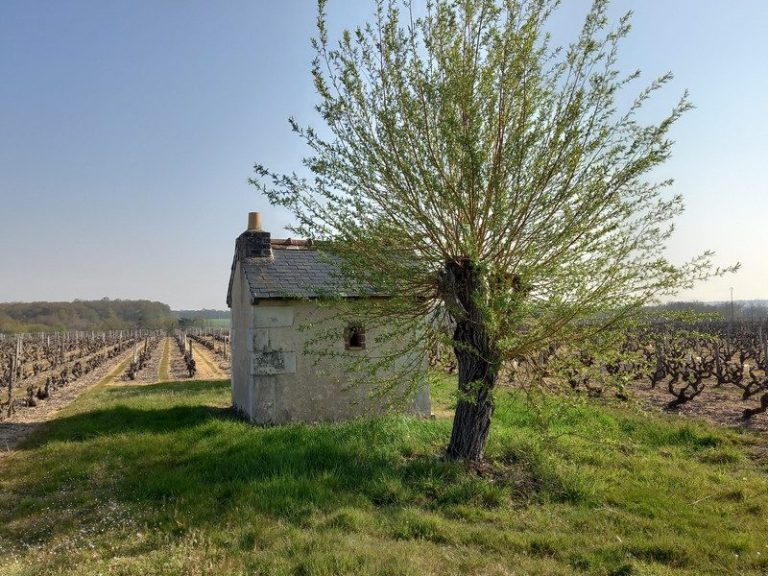 Sentier de la Tourette-2