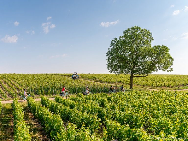 La Loire à Vélo Mosnes-Tours via Amboise-1