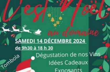 Noël Domaine d’Etilly Panzoult 14 décembre 2024