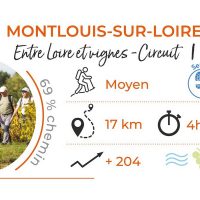 Entre Loire et vignes – circuit 1