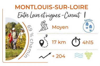 Parcours_MONTLOUIS_Entre_Loire_et_Vignes_Circuit_1