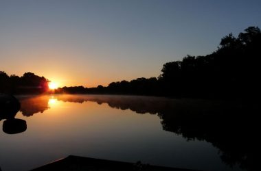 Quand la nuit s’éveille