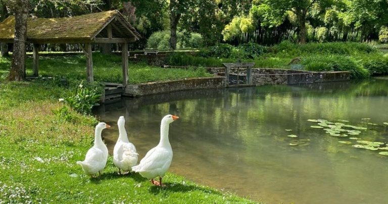 Aquarelle au jardin, peinture plein air au Moulin de Malicorne-2