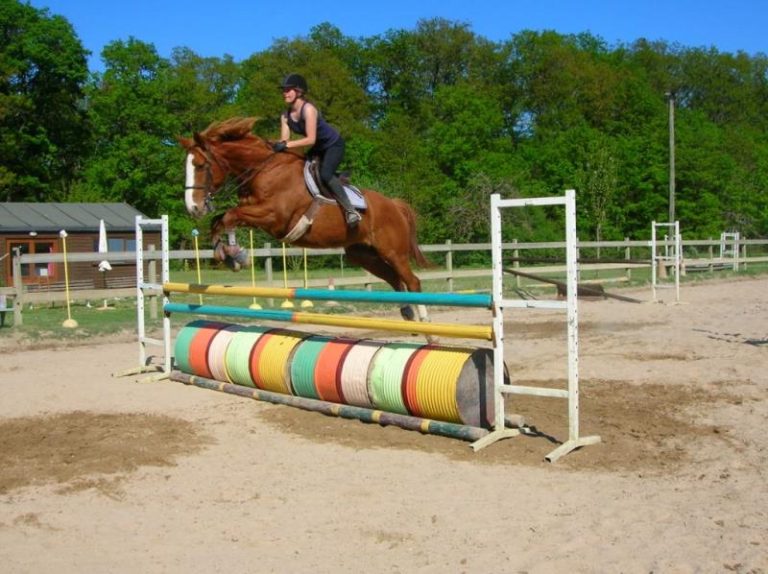 Poney club Annabelle-1