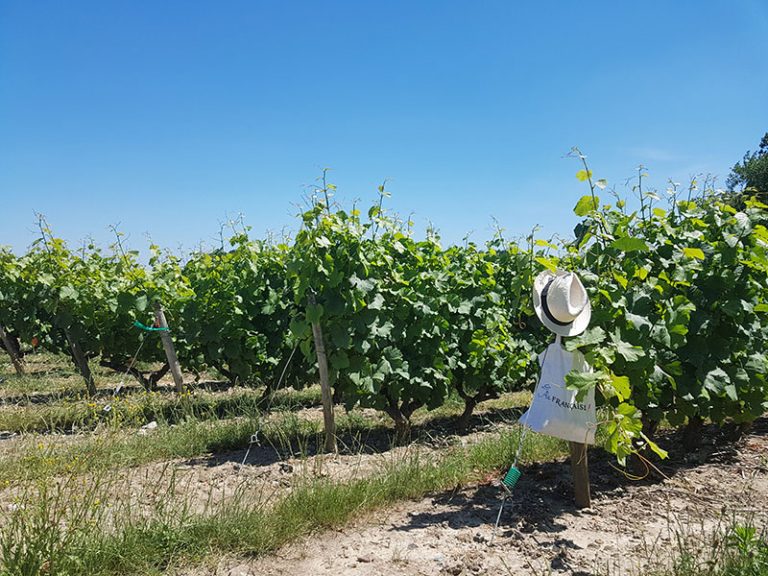 À La Française ! Loire Valley-14