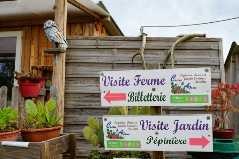 La Ferme Pédagogique Insolite et La Végétalerie-5