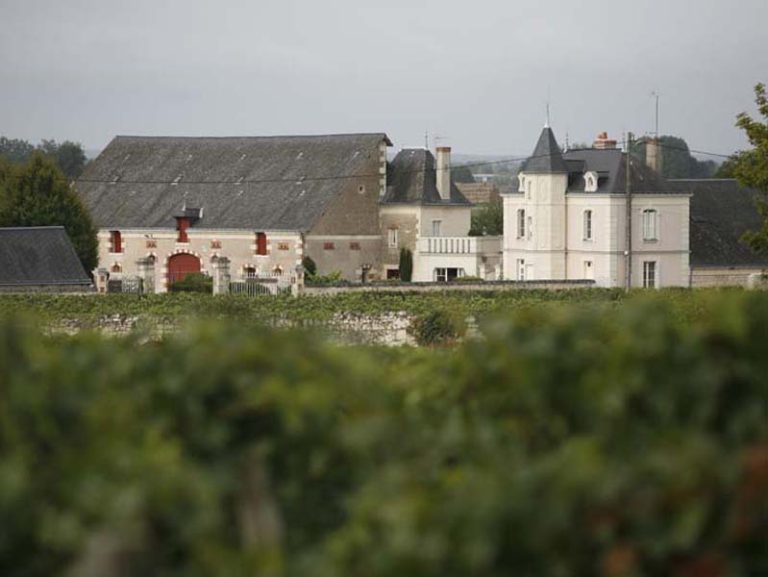 Bourgueil et entrecôte au Domaine des Mailloches-1