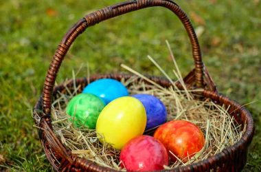 easter – Couleur – Pixabay