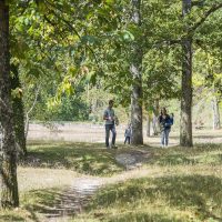 Sentiers de la Forêt de Tours-Preuilly