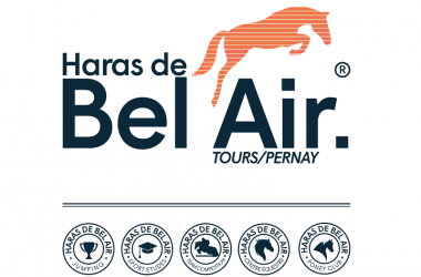 Le haras de Bel Air – Pernay