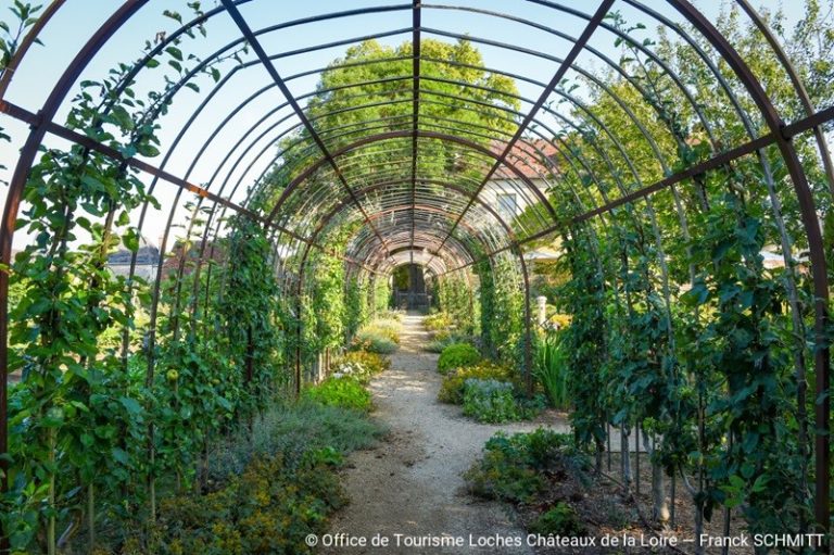 Jardin de curé de Chédigny-3