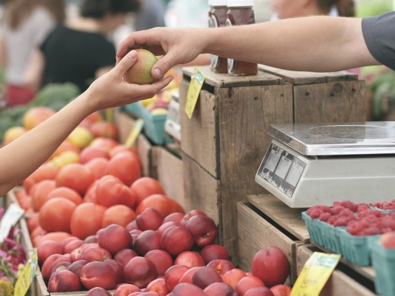 Journées gourmandes : Marché de producteurs à La Chopinière du Roy-1