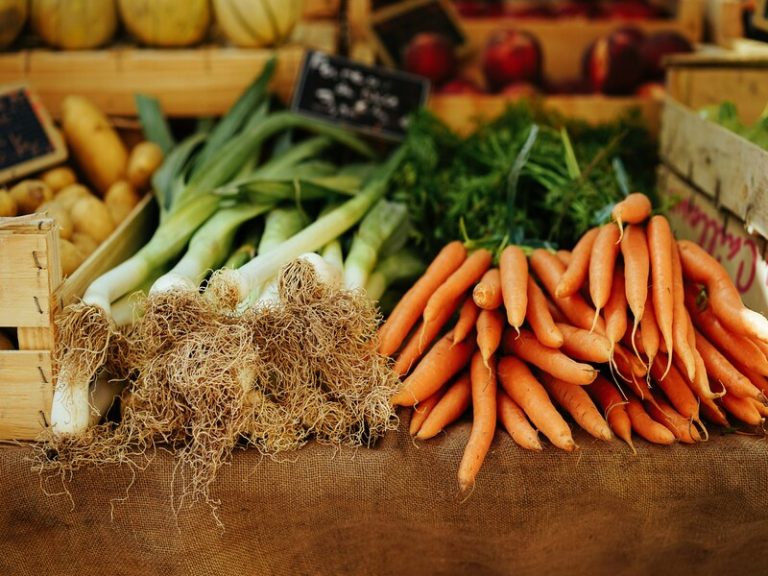 Marché d’alimentation de Cléré les Pins-1