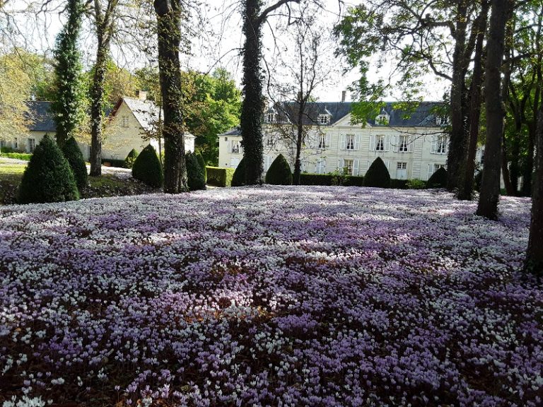 Château de Civray de Touraine-6