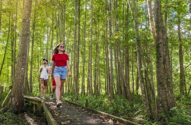 Chemin de la Petite Choisille – Randonnée à Charentilly