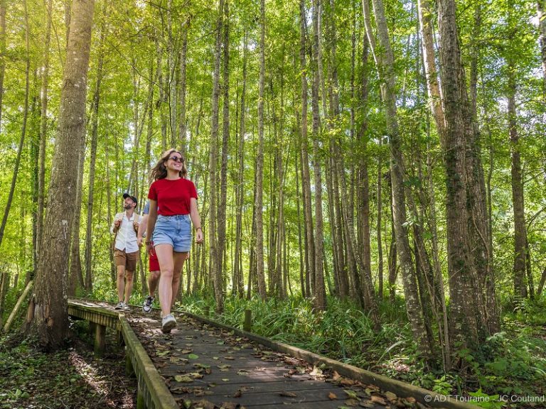 Le chemin de la Petite Choisille – Randonnée en Nord-Touraine-1