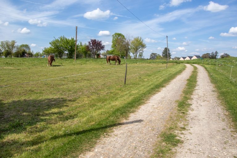 Gîte La Valériane-9